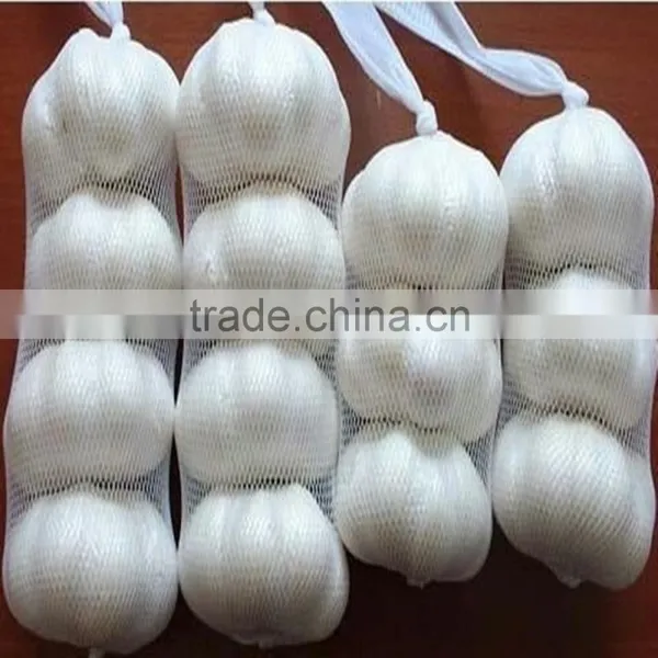 Knotless Net Making Machine/pe Fruit Net Extruder photo-6