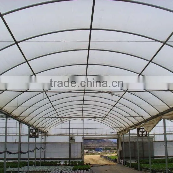 Gutter Connected Agricultural Greenhouse in Multi Span photo-4