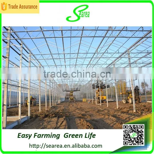 Mult Span Commerical Glass Greenhouse for Sale photo-4