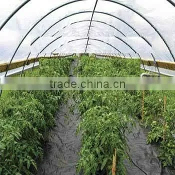Anti-uv 1.1x50m 100% pp Ground Cover