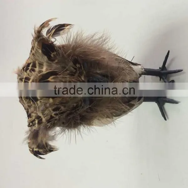 Halloween Products photo-3