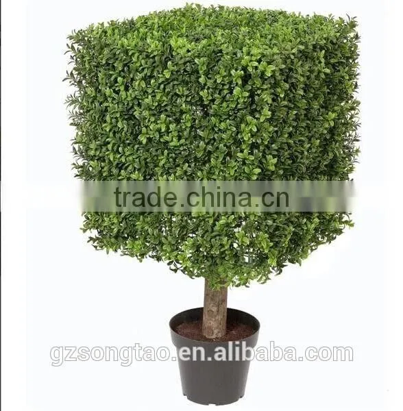 Low Price Songtao Artificial Plants photo-2