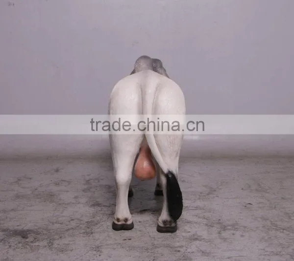 Definitive Brahman Looking Right photo-4