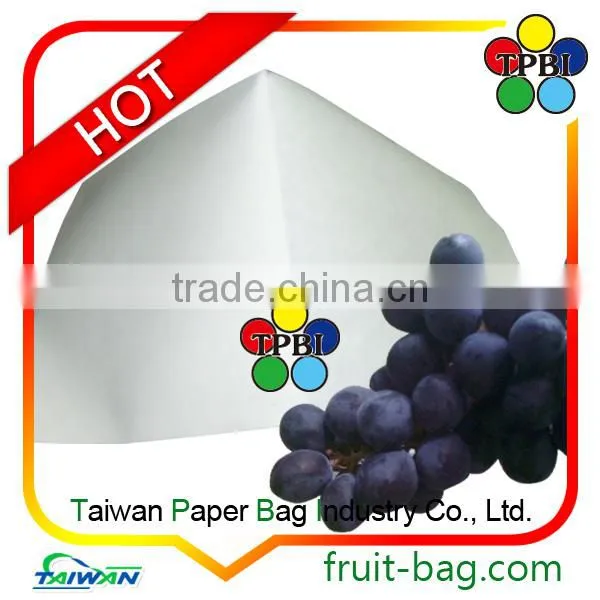 Waterproof Grape Bagging Grape Protection Bag Fruit Protection Bag photo-2