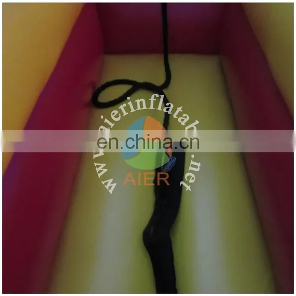 2017 Aier Best Selling Inflatable Sport Game/double Lanes for Racing photo-6