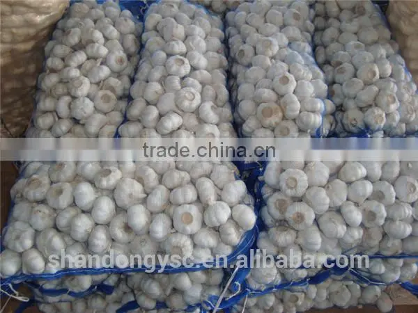 Factory Price Chinese Natural Red Garlic(normal White Garlic, Purple Garlic, White Garlic) photo-4