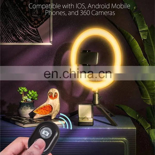 10 Inch Portable Flash Led Camera Phone Selfie Photographic Color Desktop RGB Ring Light With Tripod Stand photo-6