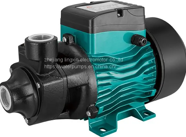 MICRO CLEAN WATER PUMP QB-60 photo-4
