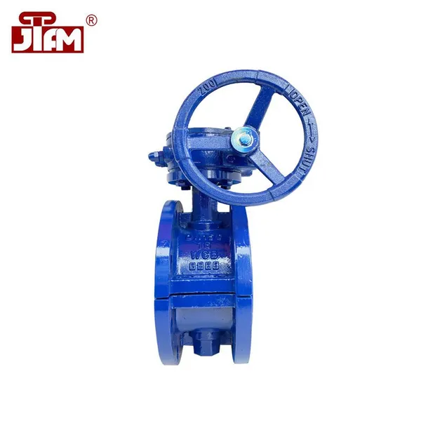 PTEE Fluorine Lined Butterfly Valve Worm Wheel Manual WCB Cast Steel Butterfly Valve photo-4