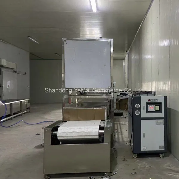 Industrial Microwave Thawing Machine For Frozen Chicken Block photo-4