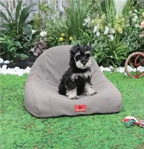 Elegant Modern Pet Sofa
