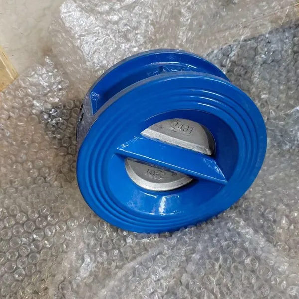 DN600 PN16 Ductile Iron WCB Cast Iron Flange Silent Water Treatment Wafer Butterfly Check Valve Manufacturer photo-2