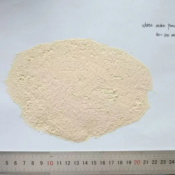 Onion Powder photo-4