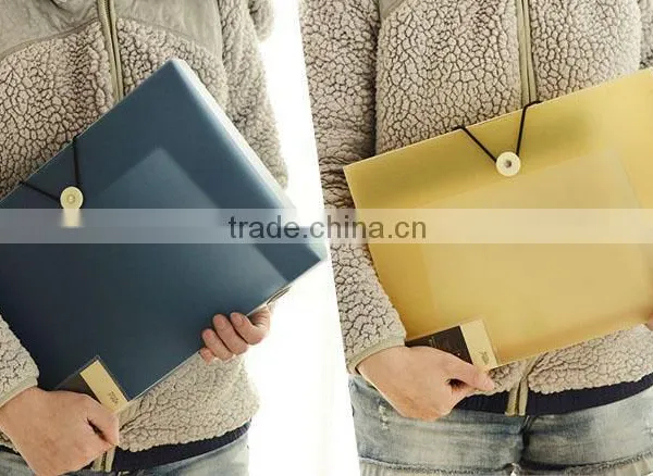A4 Trasprent /frosted Fashion Plastic File Box With Fastener Suitable for Office photo-5