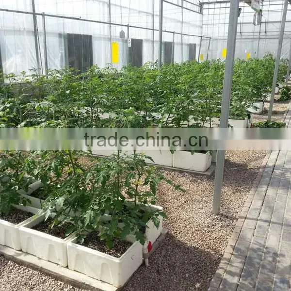 Low Cost Greenhouse photo-3
