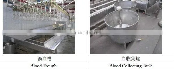 Poultry Killing and Bleeding Line photo-4