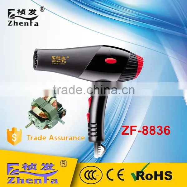 Professional AC Motor Hair Drier Steam Hair Dryer ZF-8836