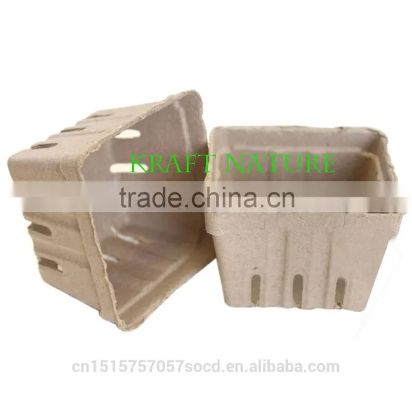 Natural Kraft and White Molded Pulp Craft Berry Basket