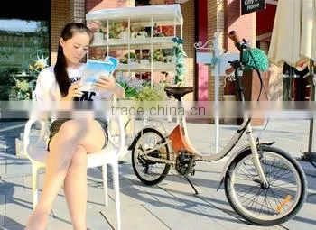 Mini, 20 Inch Wheel Folding Electric Bike for Kids Offer Different Colors photo-2