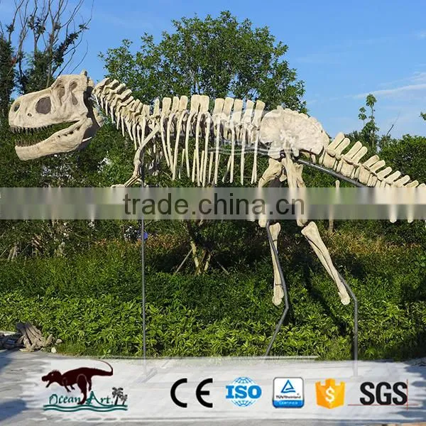 OA4082 High Quality Fossils Dinosaur photo-6