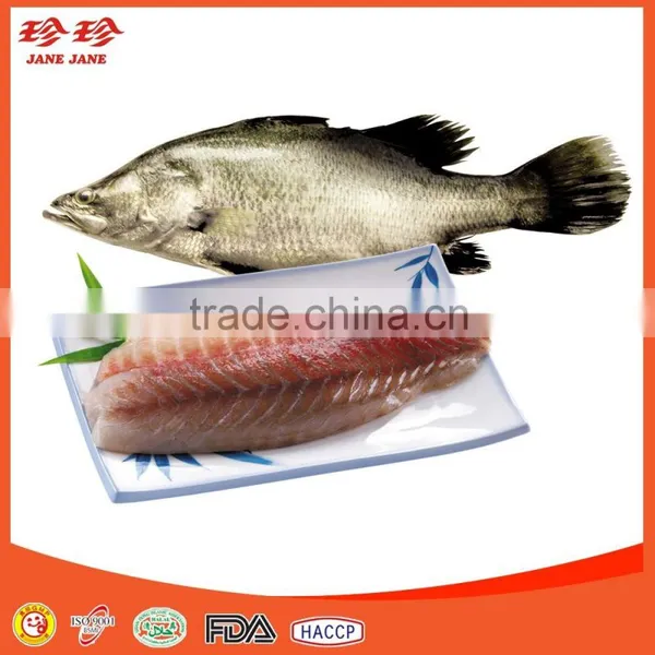 Frozen Tilapia Fillet