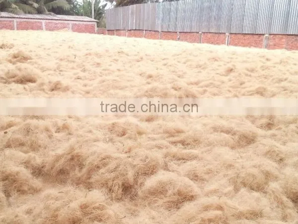 Coconut Fiber High Quality (qq : 2598494113) photo-5