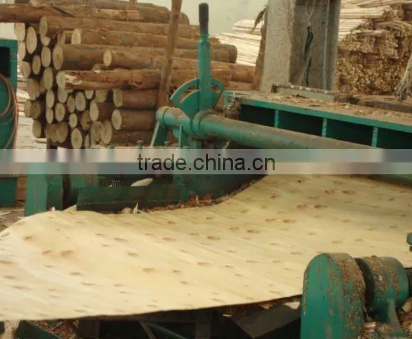 EUCALYPTUS CORE VENNER photo-4