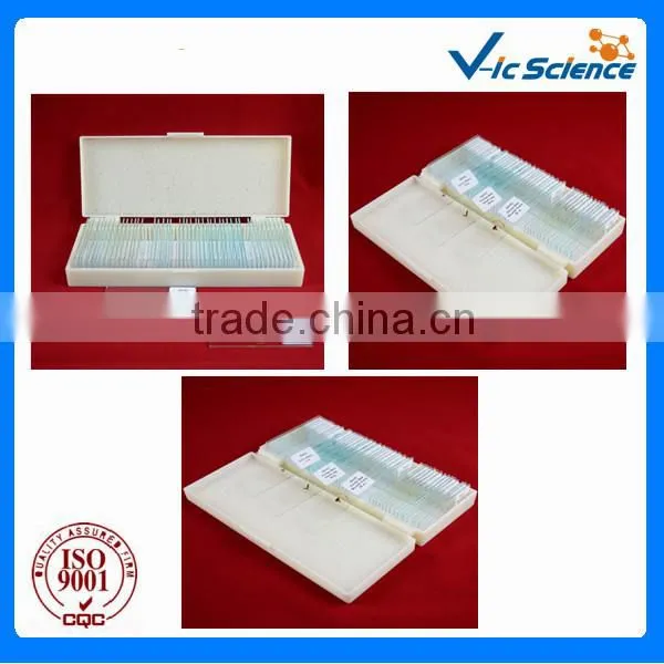 50pieces Set Mixed Basic Prepared Slides photo-2