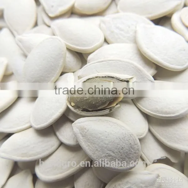 Roasted and Salted Pumpkin Seed