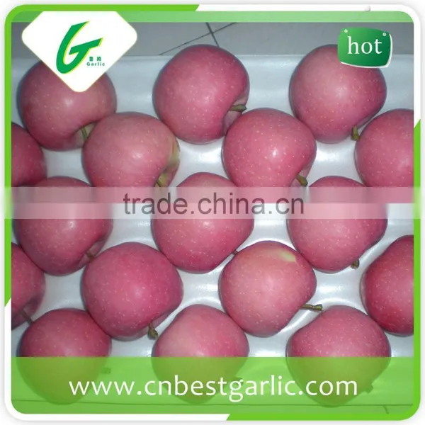 Honey Red Fuji Apples in Big Sizes photo-6