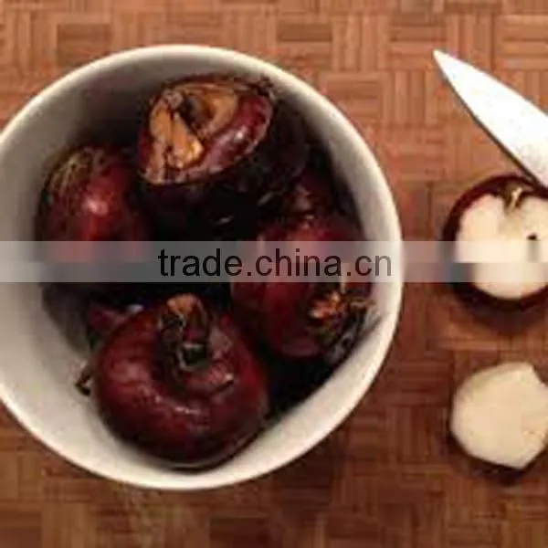 Wholesale Canned Food Water Chestnut