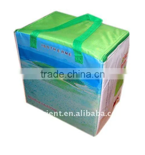 Cooler Bag