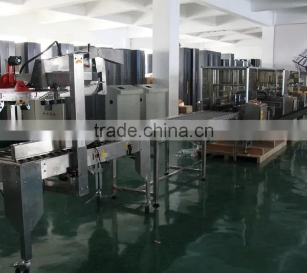 Stainless Steel Carton Sealing Machine photo-2