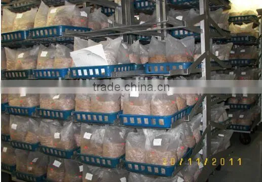 EL-156 Dried Mushroom Growing Shelves Rack photo-4