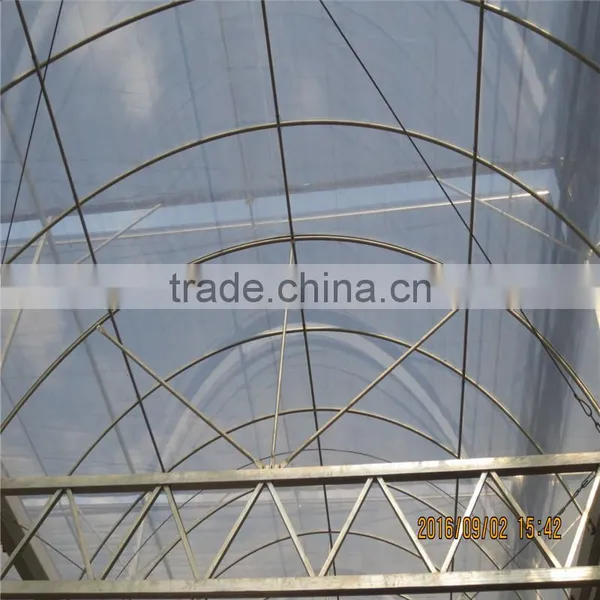 Modern Design Low Cost / Cheap Glass Green Houses for Agriculture photo-6