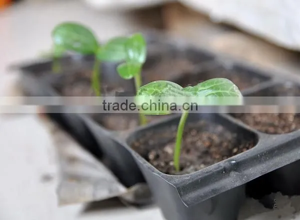 China Manufacture Excellent Quality Best Price Cell Seed Tray photo-5