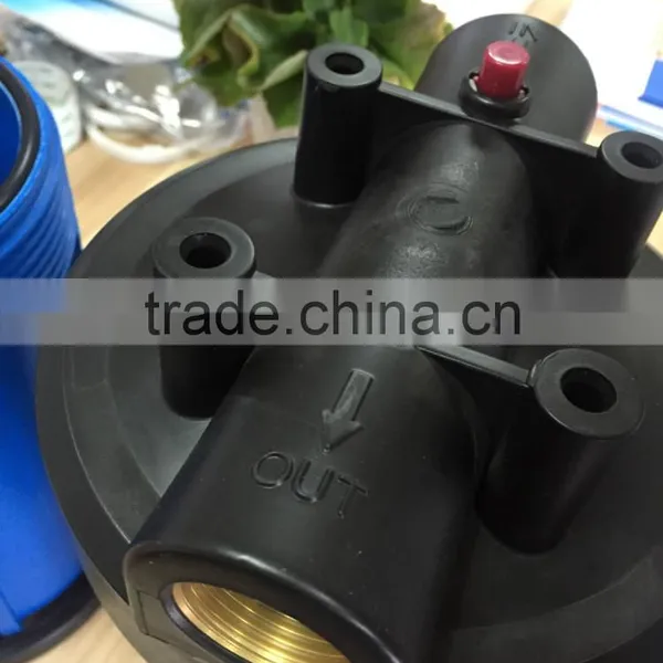 10 Inch Big Blue Hot Sale Alkaline Mineral Water Filter photo-4