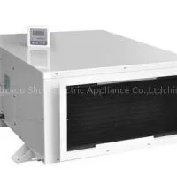 Intelligent Hot Selling Stainless Steel Concealed Wall Dehumidifier