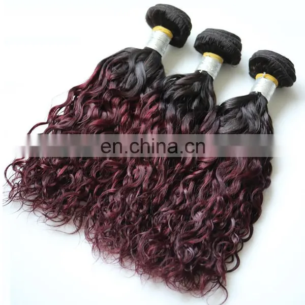 2016 New Ombre Remy Crochet Brazilian Human Hair Extension Factory Wholesale Crochet Braids With Human Hair photo-2