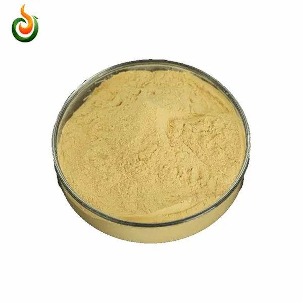 Chitosan Oligosaccharides Are Known as New