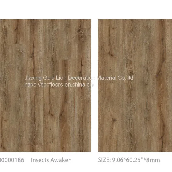 SPC Vinyl Flooring B186 Insects Awaken 