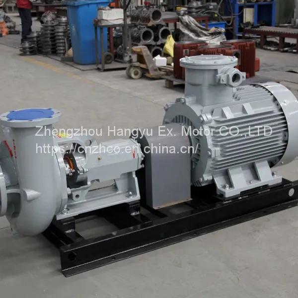 Horizontal Centrifugal Pumps of Supporting Pump for Desander,desilter and Mixing Hopper and Filling Pump for Mud Pump photo-4
