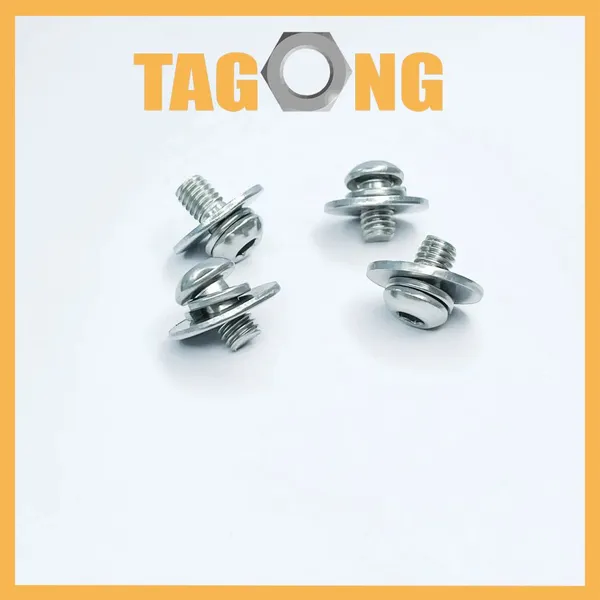 DIN7985 Stainless Steel 304 316 Torx Pan Head Machine Screw Security Screws