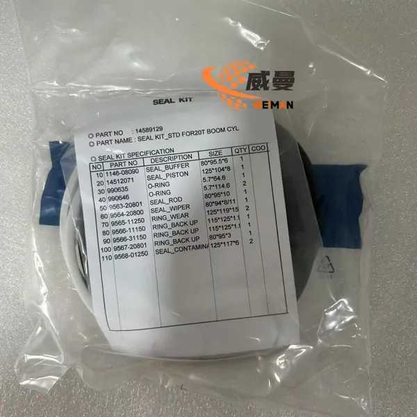 Volvo Hydraulic Seal Kits 14589129 for Volvo EC210B Excavator photo-4