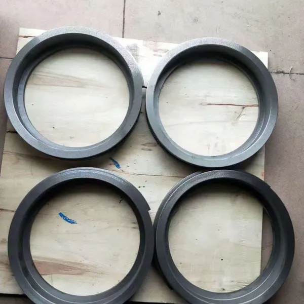 Shanghai Dongfang DFSS600-24N/6 Wear Spare Ring for DFSS Water Pump