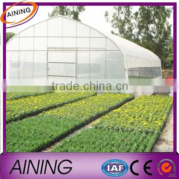 Professional Factory Greenhouse Plastic Film, PE Greenhouse Plastic Quality Choice photo-6