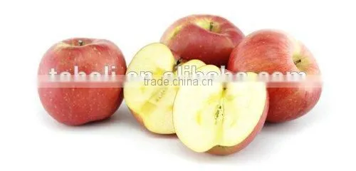 Fresh Shandong Fuji Apple With Lowest Price photo-6