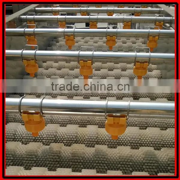 Automatic Brush Date Cleaning Machine|Ginger Washer and Cleaner Machine photo-4