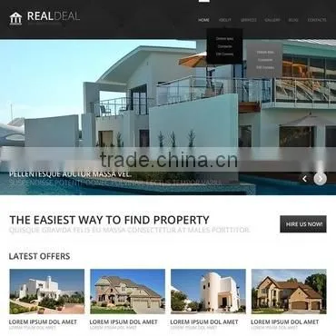 Website Design Services photo-3