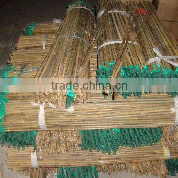 Bamboo Tripod Bamboo Teepe photo-2